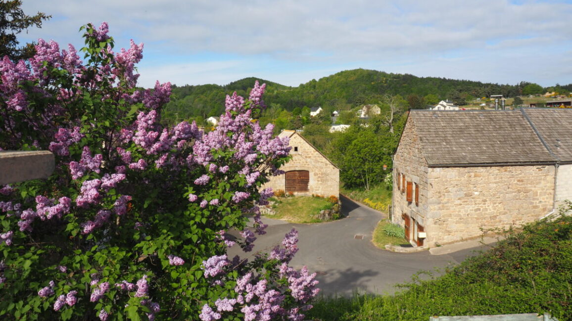 Image 0 : LA PETITE MAISON DE NORBERT