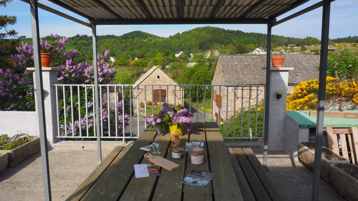 Image 2 : LA PETITE MAISON DE NORBERT