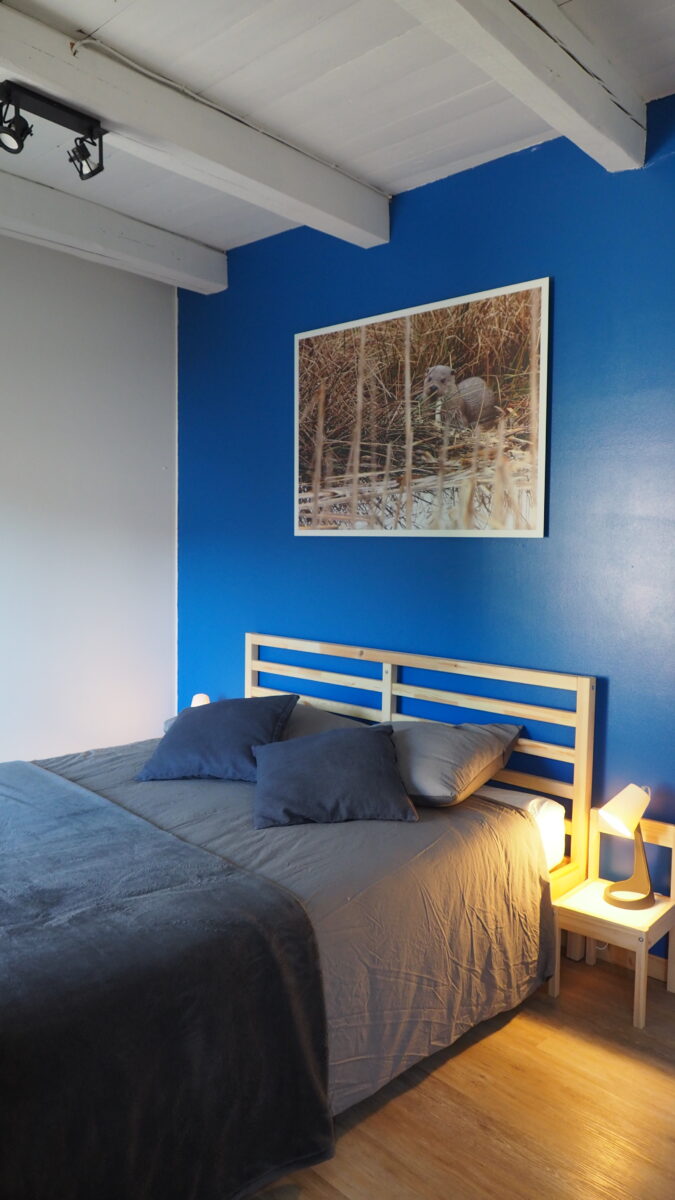 Image 3 : PETIT GÎTE DU CIRCAÈTE