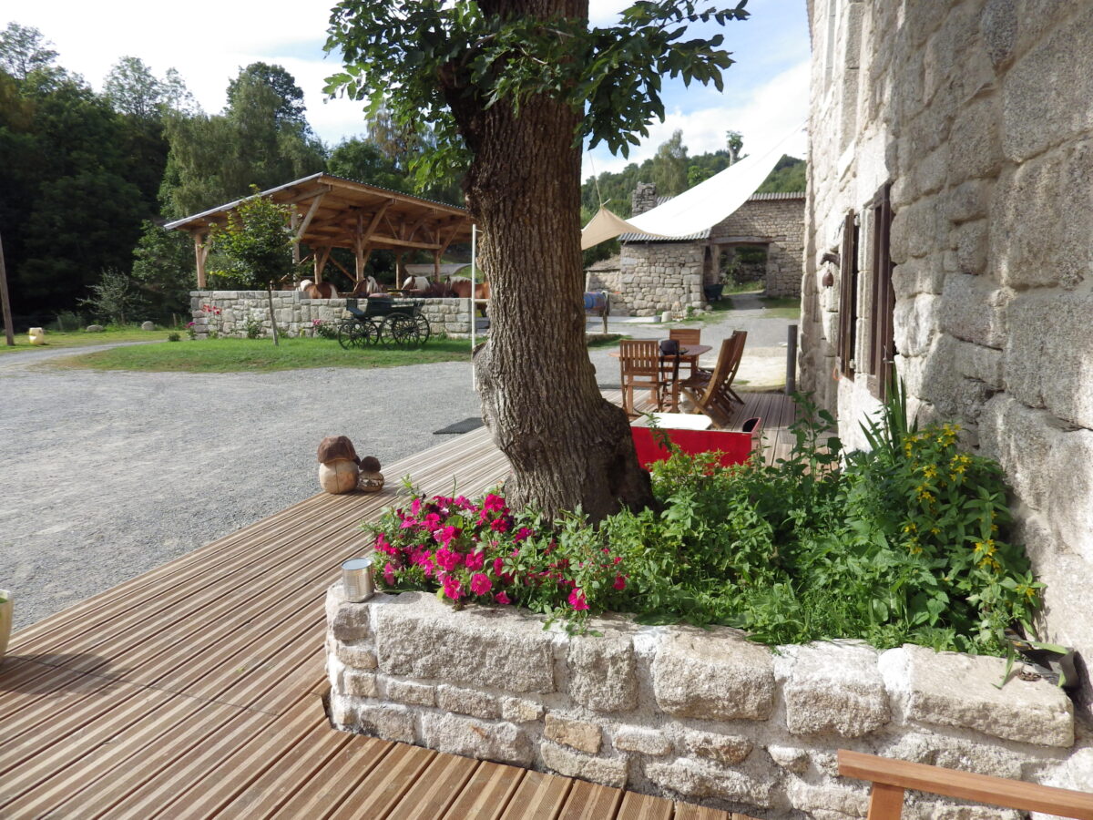 Image 4 : YOURTE NATURE