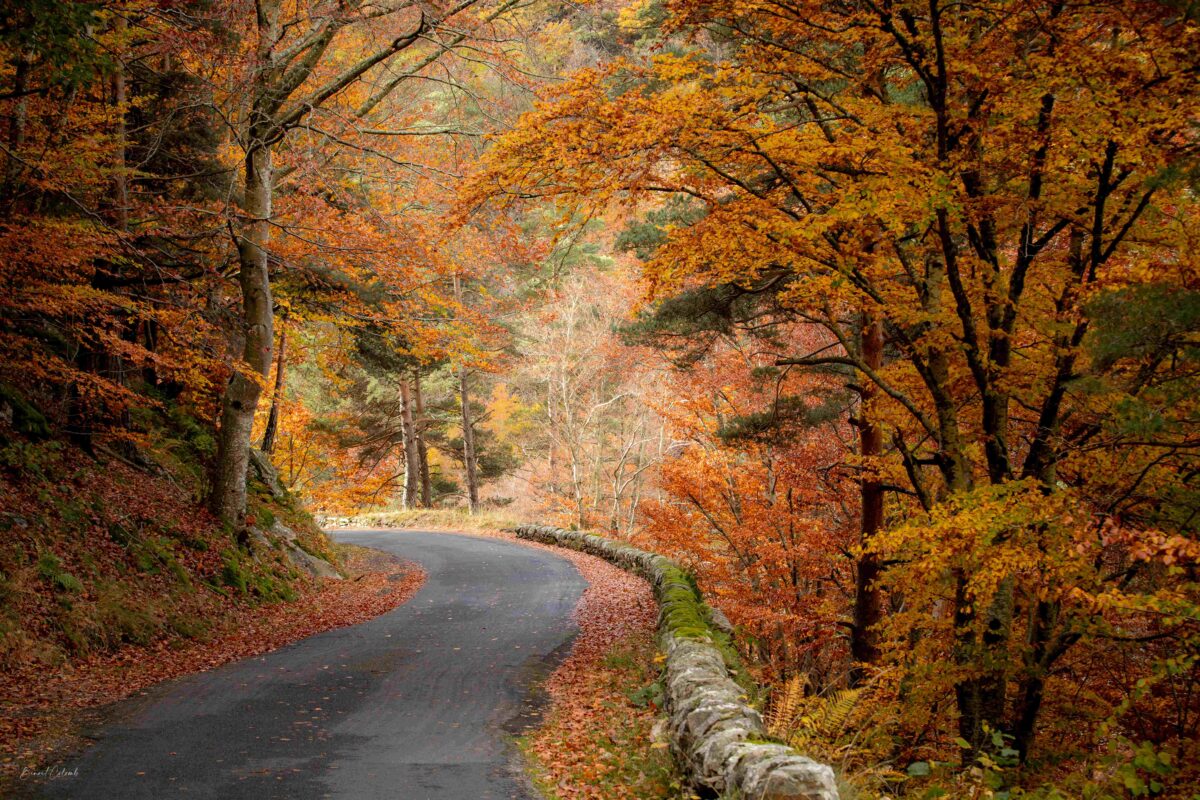 Image 1 : A la découverte de Saint Léger de Peyre