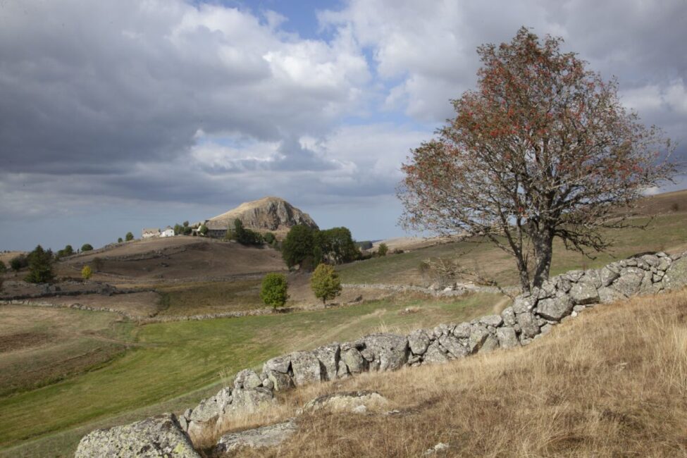 Image 0 : En passant par le Parc Naturel Régional de l'Aubrac