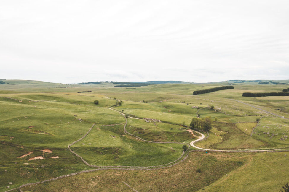 Image 2 : IMMENSE AUBRAC