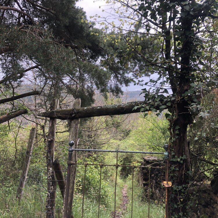 Image 1 : La bête du Gévaudan - Trail n°3