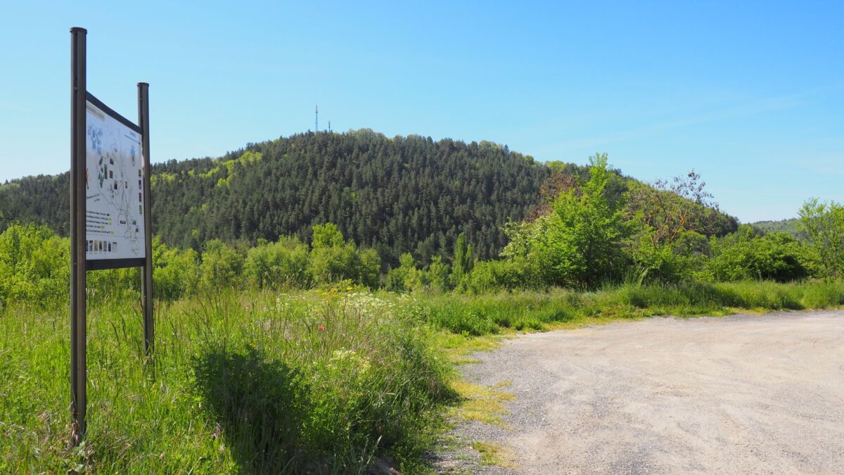 Image 0 : La draille des troupeaux