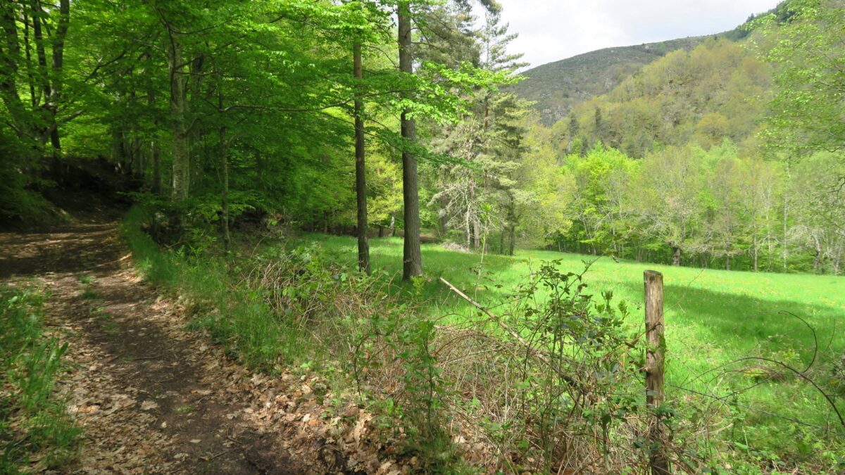 Image 0 : Le chemin du Bouchet