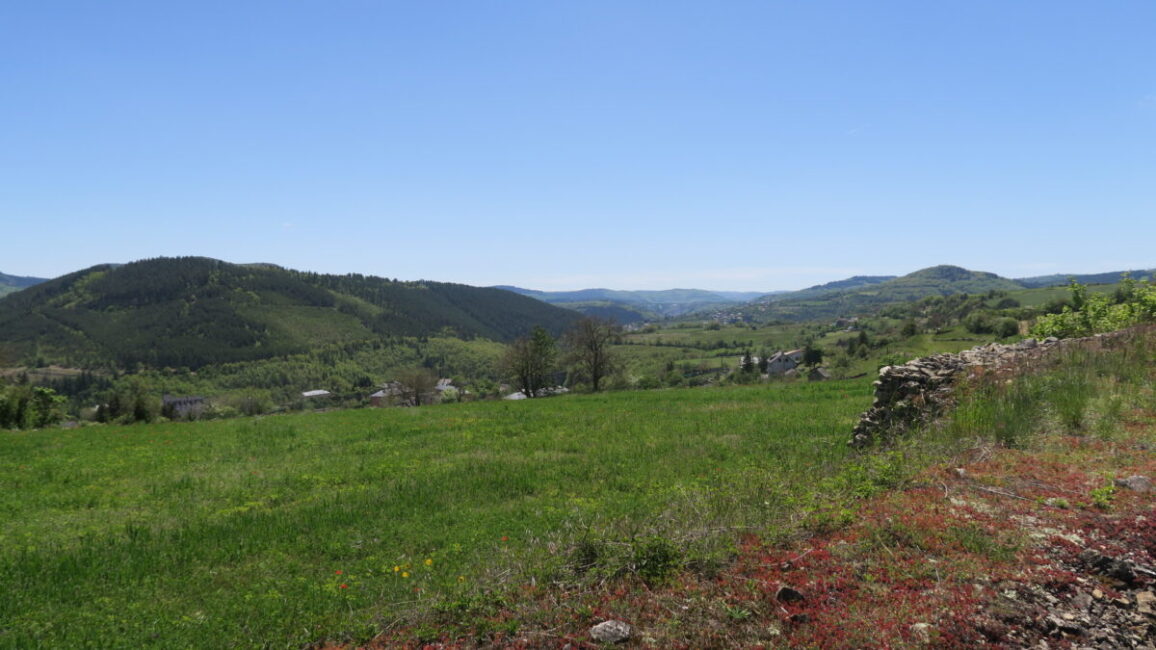 Image 0 : Le plateau de la Cham