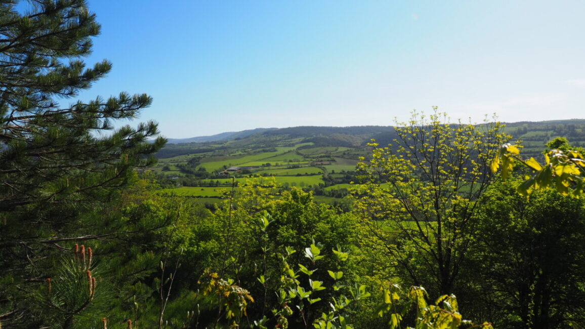 Image 0 : Le Vallon de la Jourdane