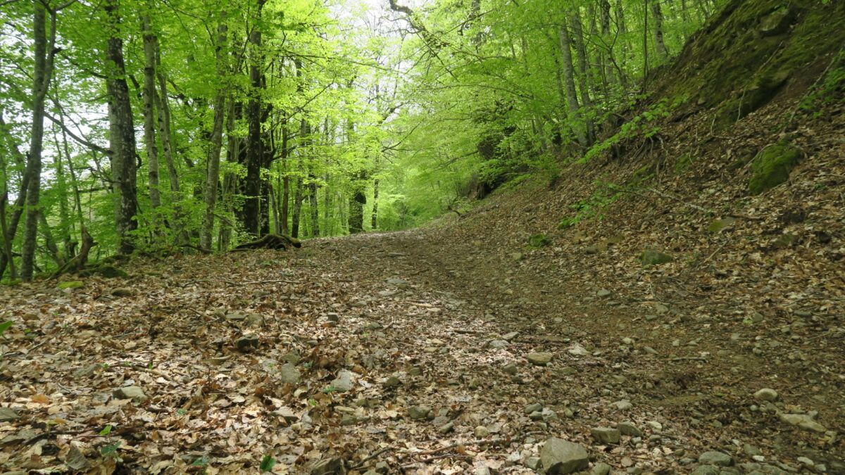 Image 2 : Les Hauts du Monastier