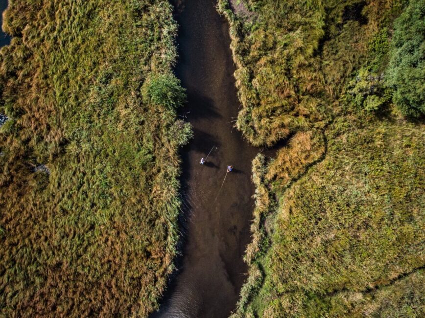 Image 0 : PARCOURS "NO KILL" SUR LA COLAGNE