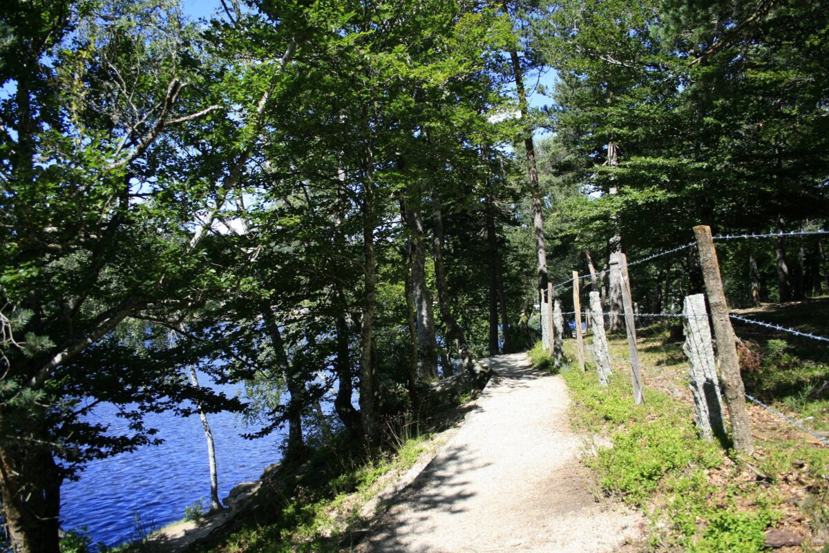 Image 1 : TOUR DU LAC DU MOULINET