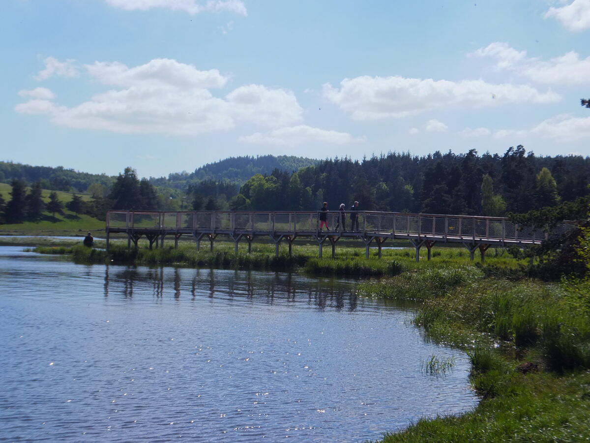 Image 2 : LAC DU MOULINET TOUT EN NATURE
