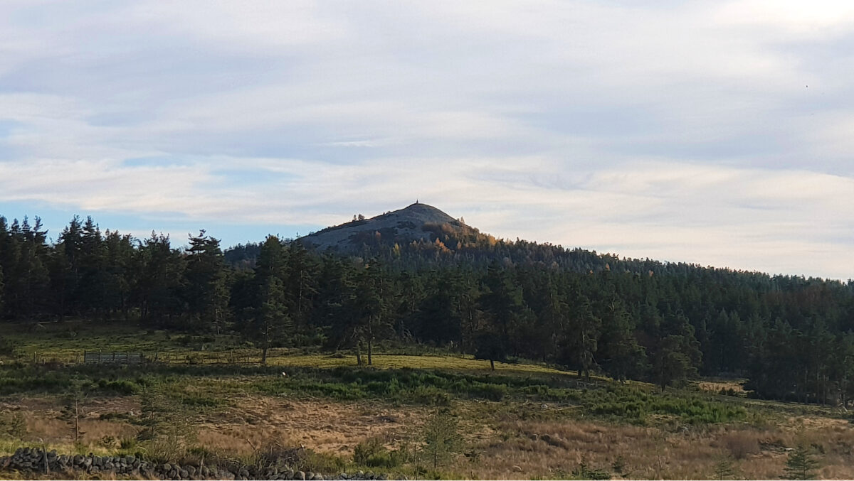 Image 1 : LE PIC DE MUS