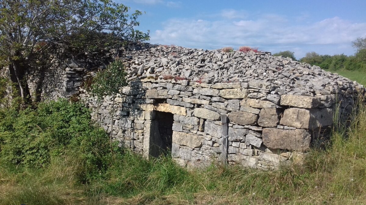 Image 1 : LE PLATEAU DE LA CHAM