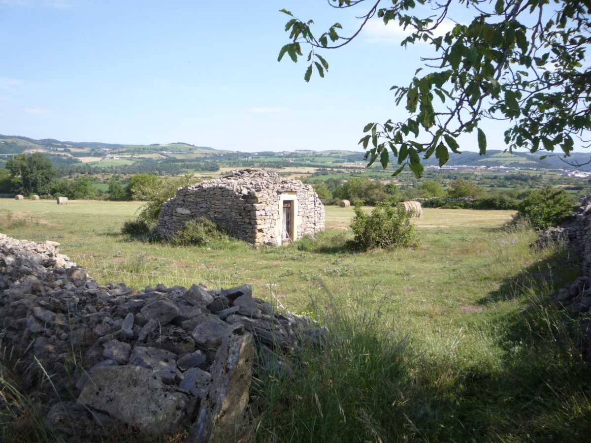 Image 3 : LE PLATEAU DE LA CHAM