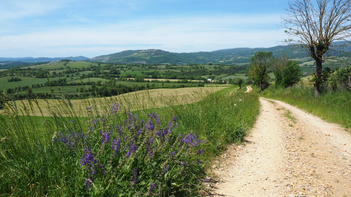 Image 1 : LE PLATEAU DES BORIES