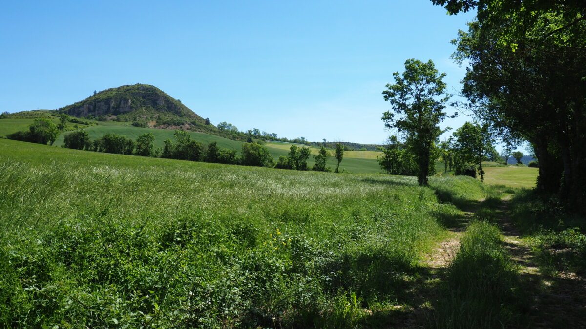 Image 2 : LE TRUC DE SAINT-BONNET