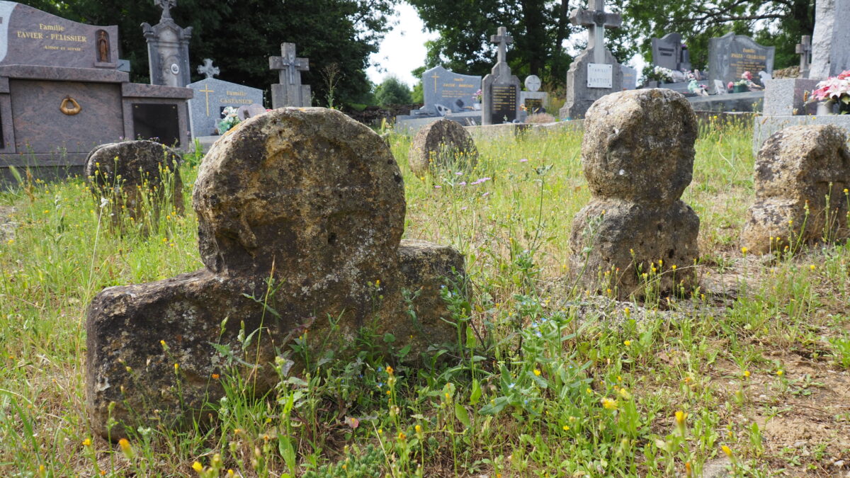Image 2 : EGLISE SAINT-MARTIN DE PIN