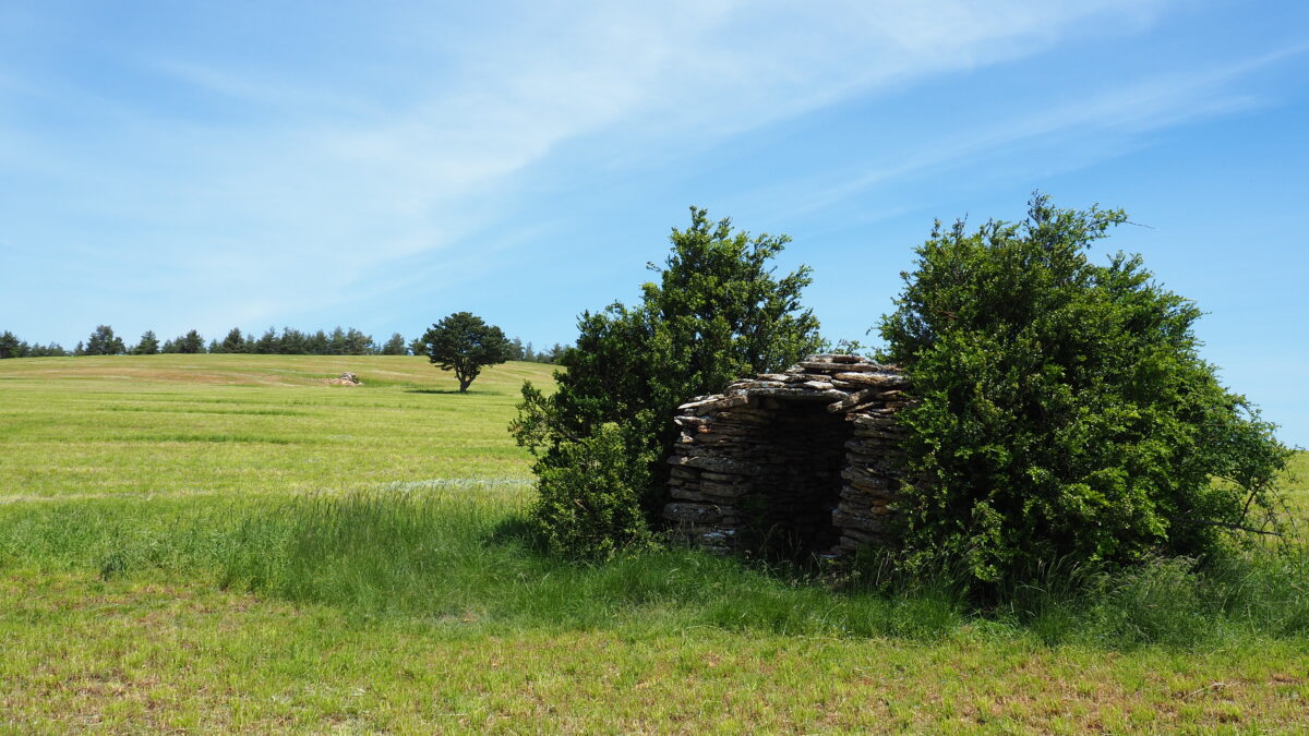 Image 4 : SAINT-BONNET DE CHIRAC
