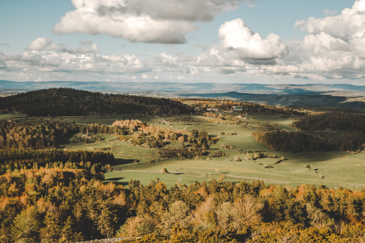 Image 2 : PIC DE MUS