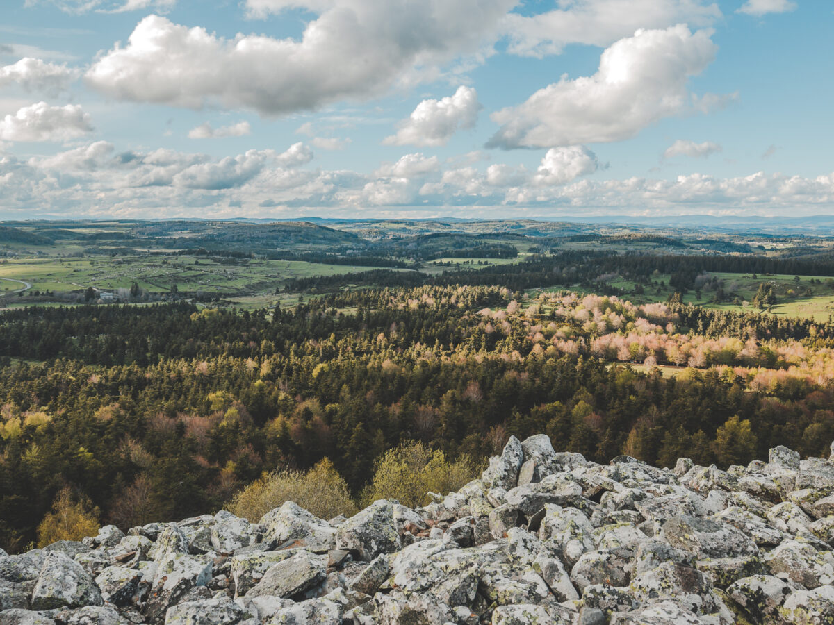 Image 3 : PIC DE MUS