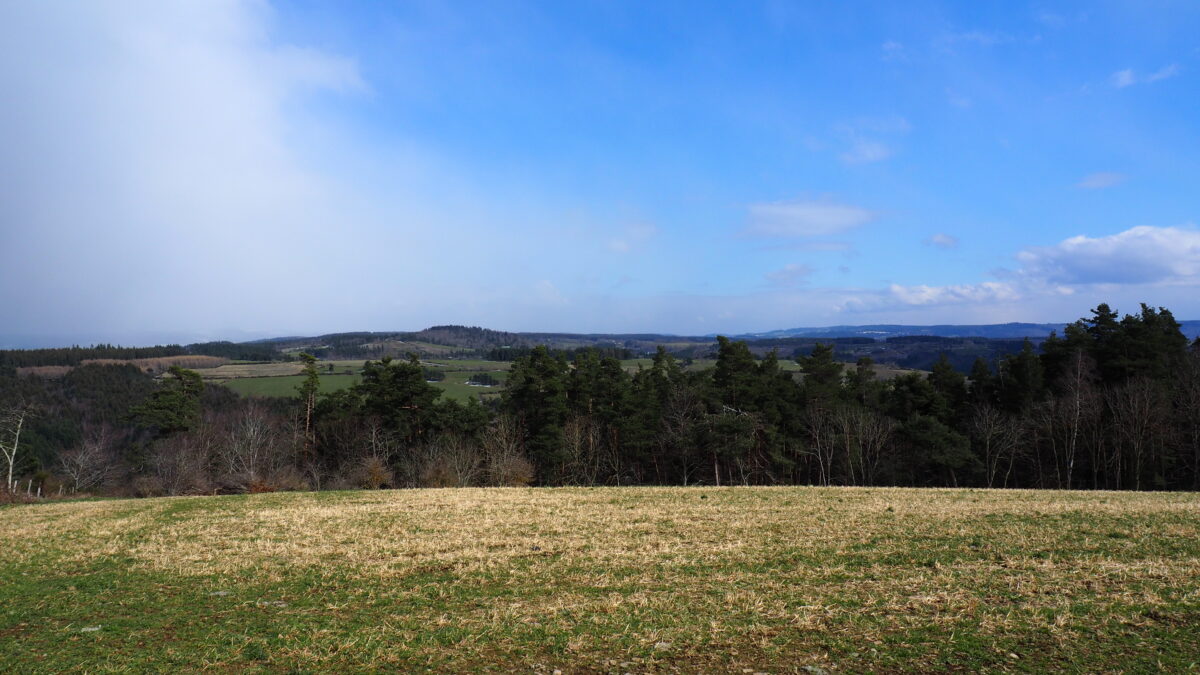 Image 1 : PUECH DES CAYRES (1139M)
