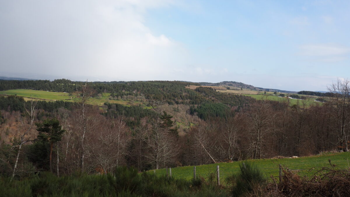 Image 2 : PUECH DES CAYRES (1139M)