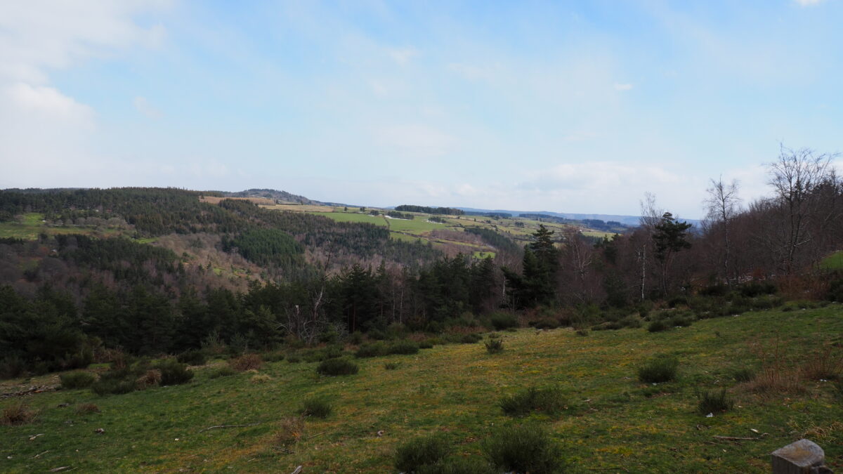 Image 4 : PUECH DES CAYRES (1139M)