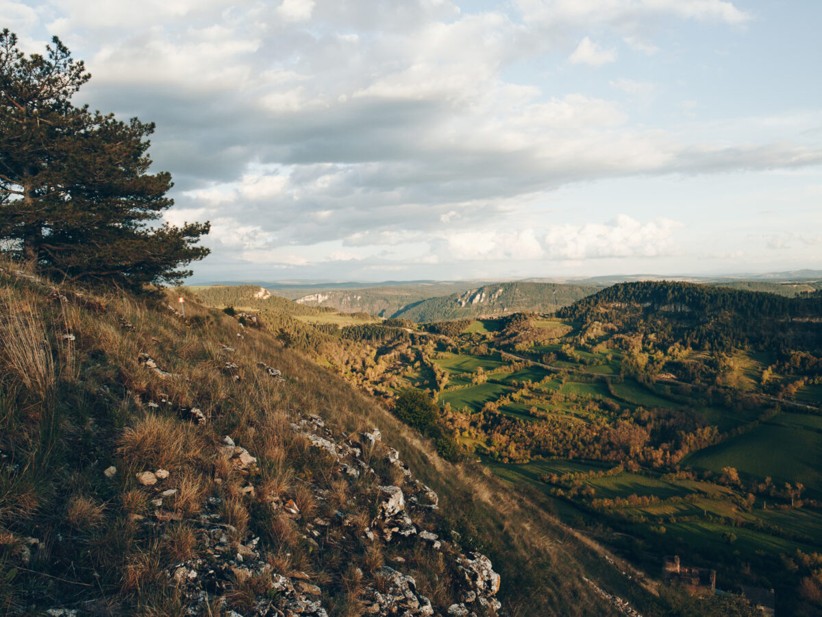 Image 3 : TRUC DE GRÈZES