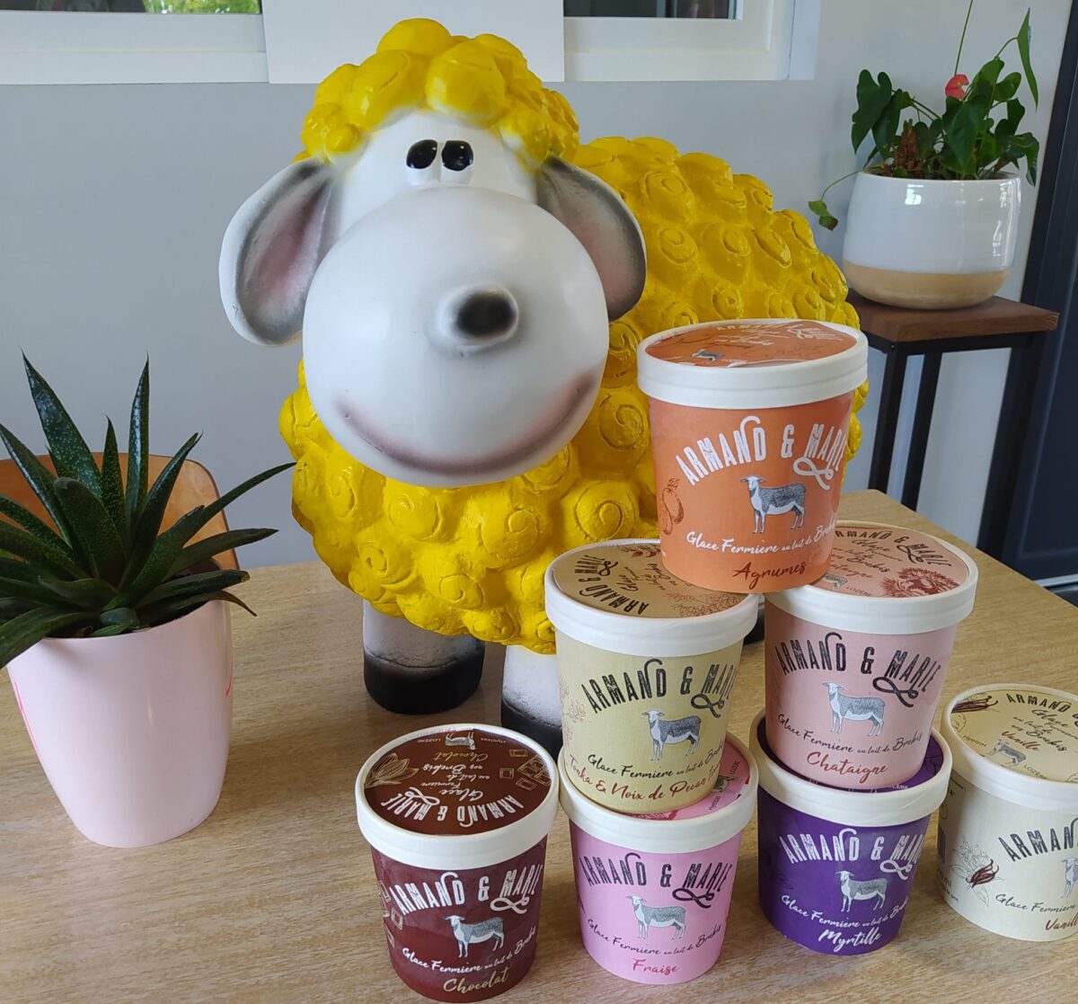 Image 4 : A LA FERME ARMAND ET MARIE