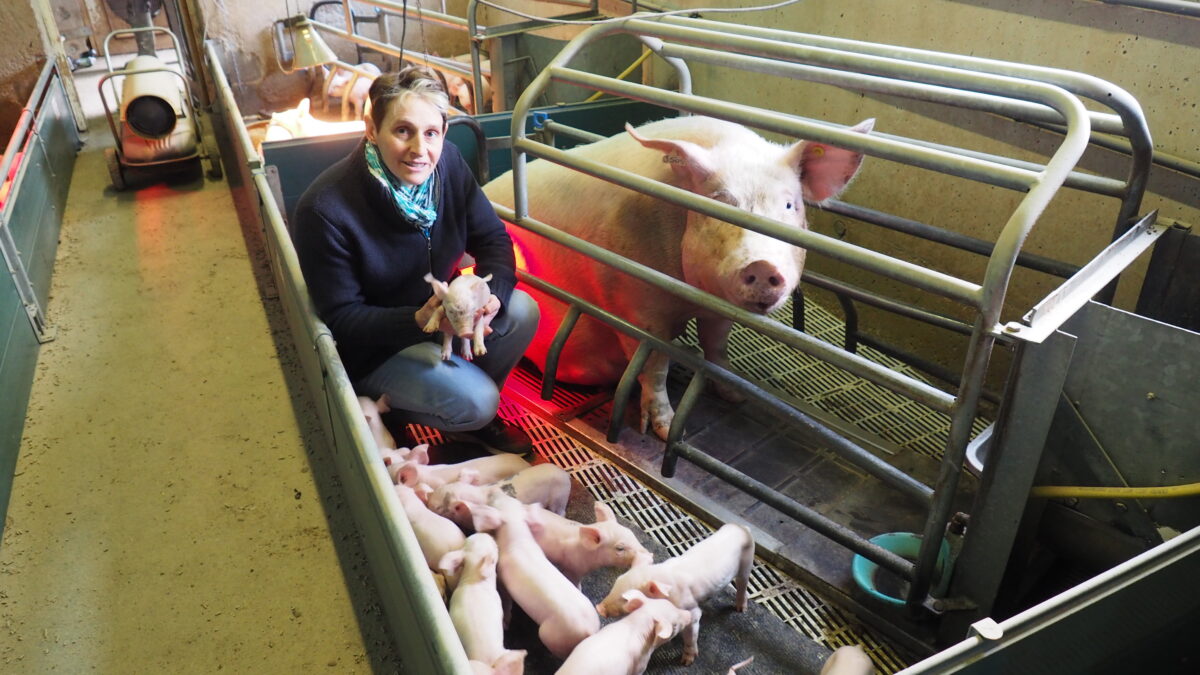 Image 3 : GAEC BALEZ