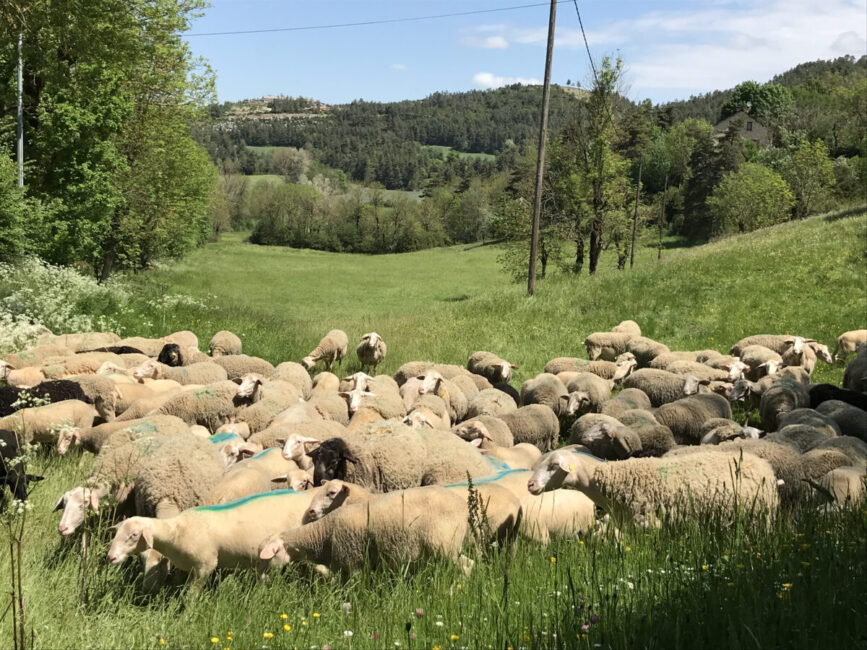 Image 0 : GAEC DE LUEYSSE