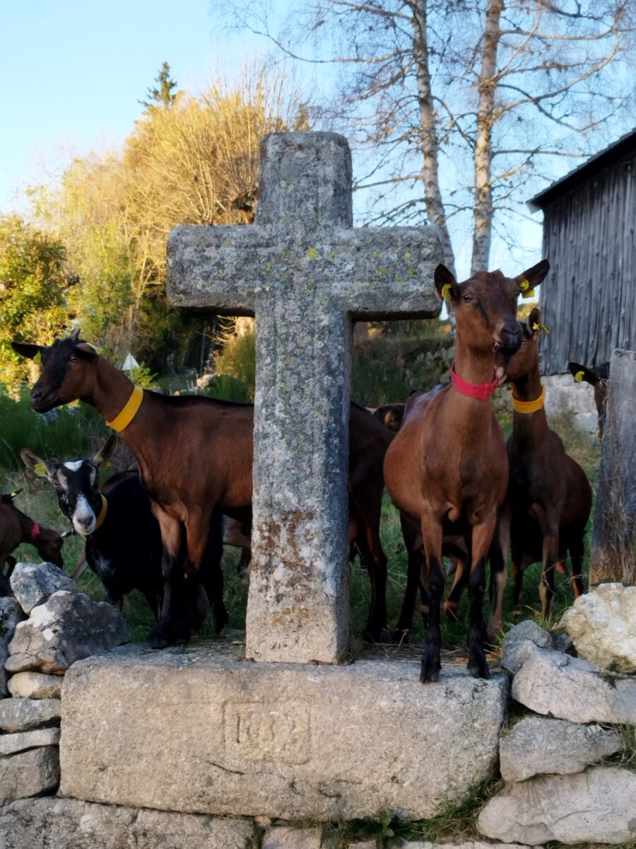 Image 3 : LA FERME DU BATIFOLIER