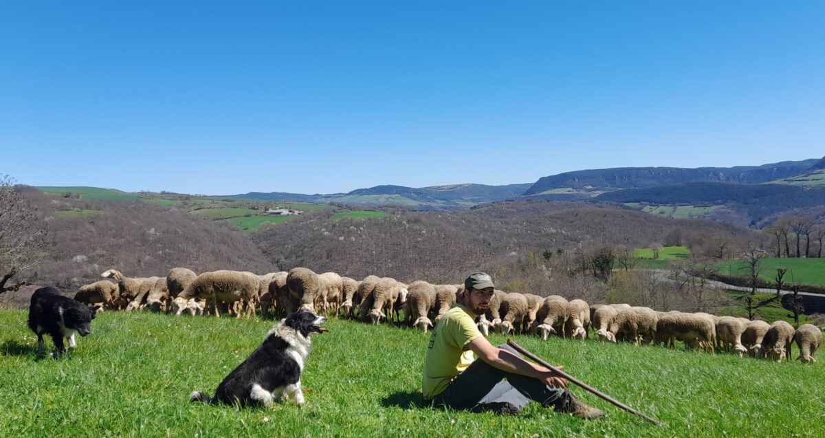 Image 2 : LE FERMIER GOURMAND