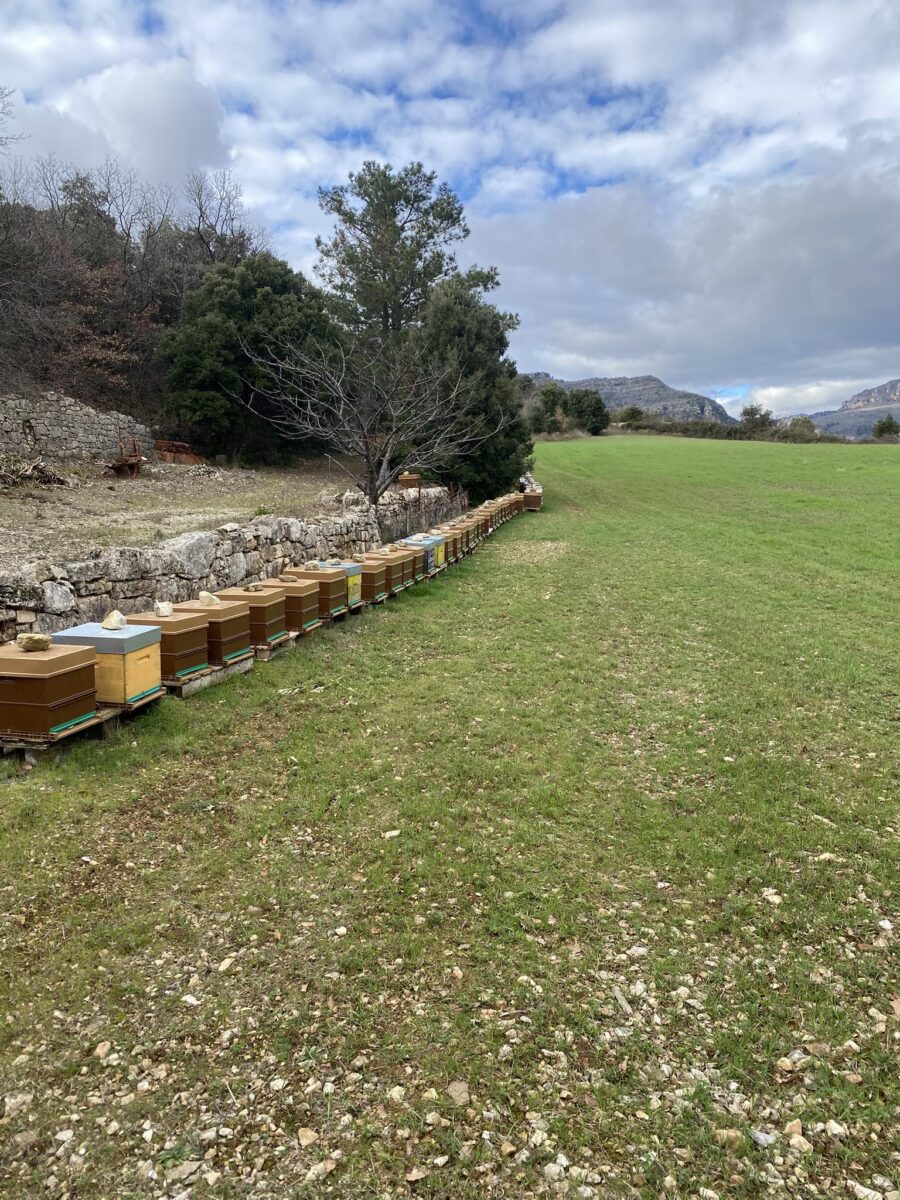 Image 1 : LE RUCHER DE BOUQUET